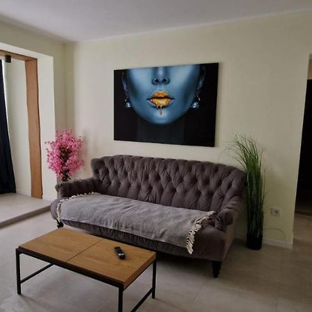 University Apartment Baia Mare Dış mekan fotoğraf