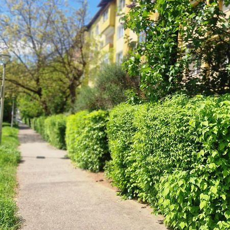 University Apartment Baia Mare Dış mekan fotoğraf