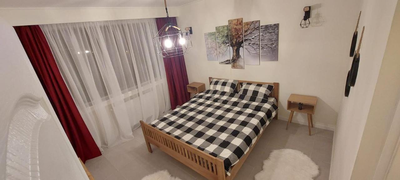 University Apartment Baia Mare Dış mekan fotoğraf
