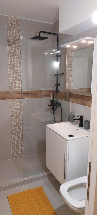 University Apartment Baia Mare Dış mekan fotoğraf