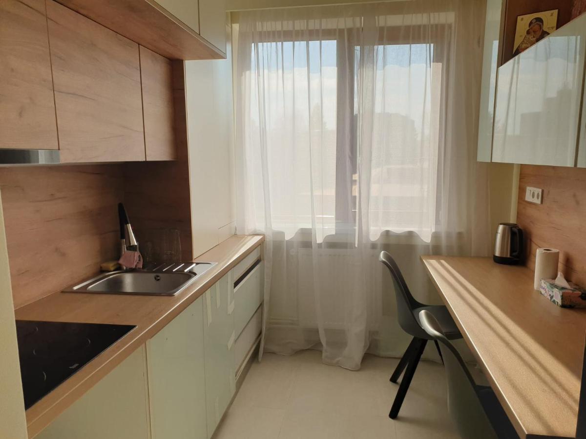 University Apartment Baia Mare Dış mekan fotoğraf