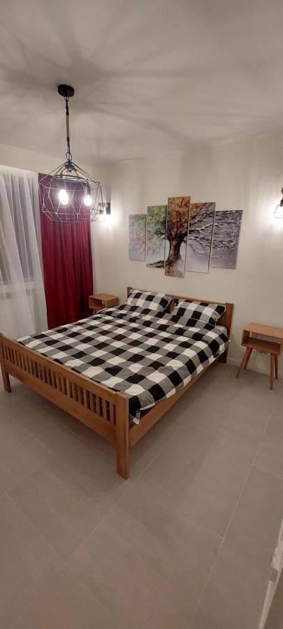 University Apartment Baia Mare Dış mekan fotoğraf