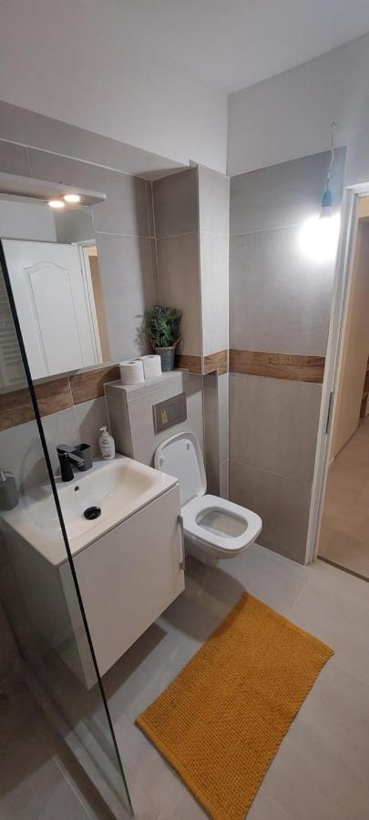 University Apartment Baia Mare Dış mekan fotoğraf