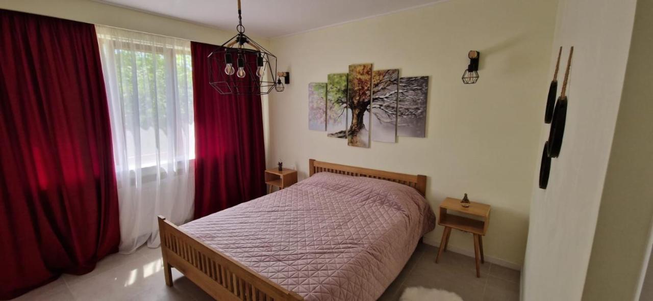 University Apartment Baia Mare Dış mekan fotoğraf