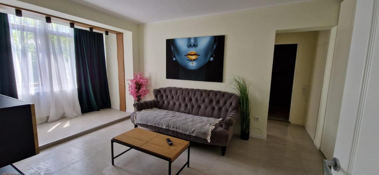 University Apartment Baia Mare Dış mekan fotoğraf